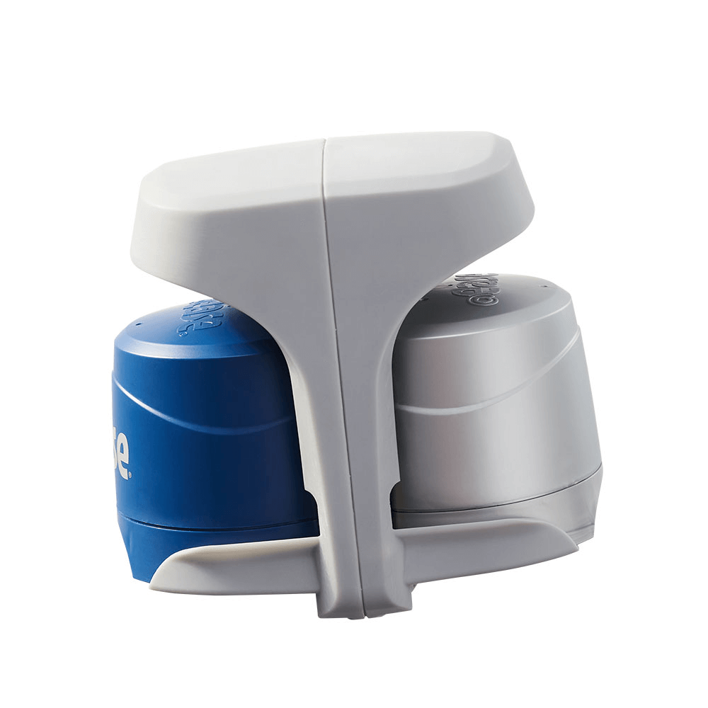 FROG @ease 2-in-1 Water Care™ Floating System